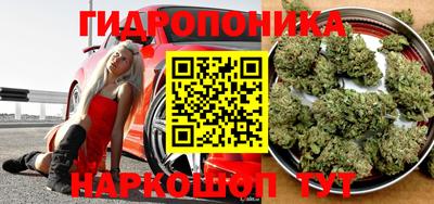 шишки Канаш