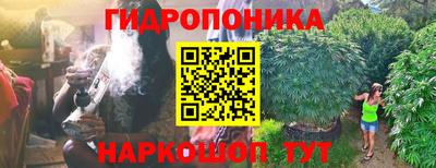 шишки Канаш