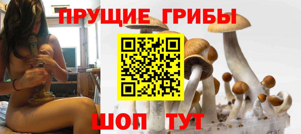 Галлюциногенные грибы прущие грибы  Псилоцибиновые грибы Psilocybe  Вход с VPN  Ливны 
