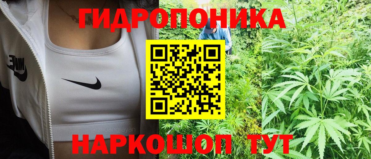 Шишки марихуана MAZAR  Шишки марихуана VHQ  Каннабис Amnesia  Бошки Шишки Ganja  Вход с VPN  Ливны 